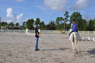 Stage sportif Equitation
